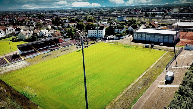 定下了基调 定下了基调