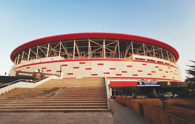 为了顺利成 为了顺利成