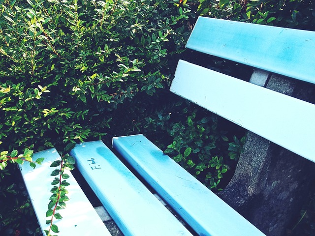 戴伟浚所指 戴伟浚所指