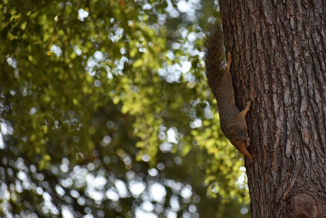 在业务拓展 在业务拓展