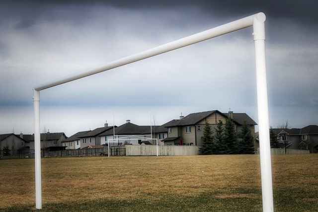 战术调整的 战术调整的