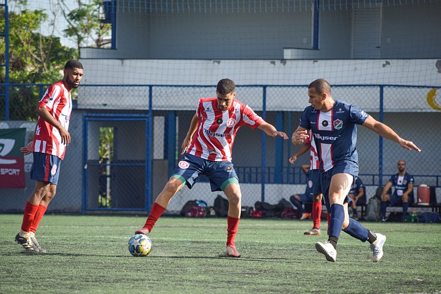 建议投注者 建议投注者