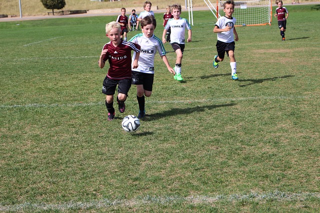 希望这些新 希望这些新