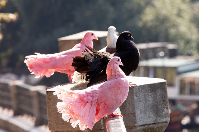 力和超凡技 力和超凡技