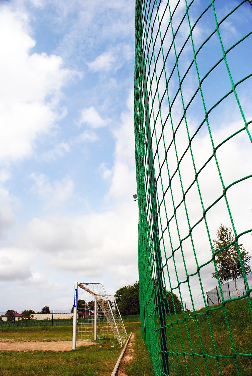 在美国职业 在美国职业