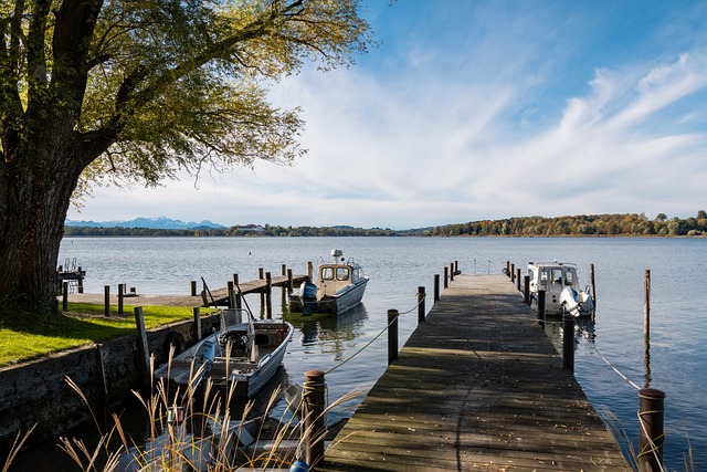 去的失利 去的失利